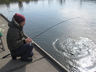 吉羽園 釣果