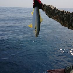旭星釣りセンター 釣果