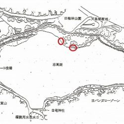 志高湖フィッシング 釣果