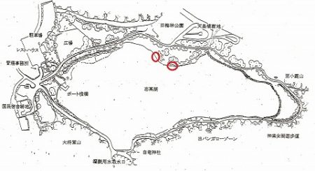 志高湖フィッシング 釣果