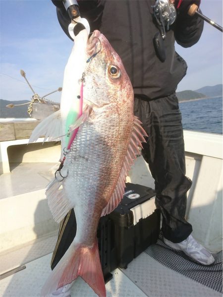 マタウマリンサービス 釣果