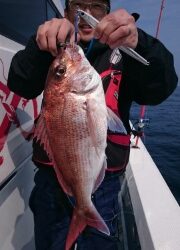 海龍丸（福岡） 釣果