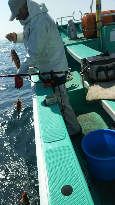 モンロー号 釣果