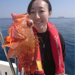 マタウマリンサービス 釣果