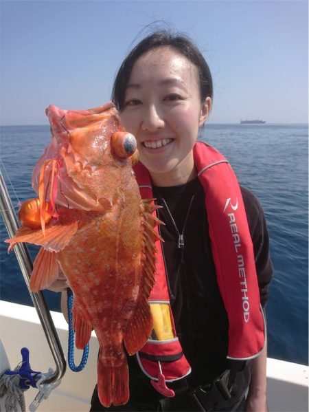 マタウマリンサービス 釣果