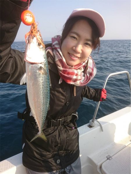 マタウマリンサービス 釣果