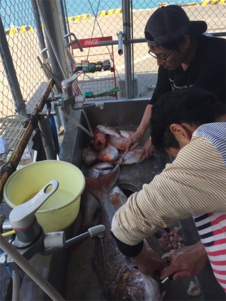 マタウマリンサービス 釣果