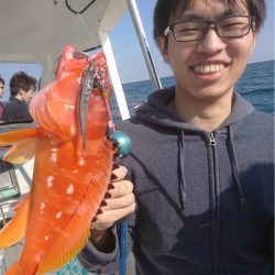 マタウマリンサービス 釣果