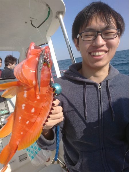 マタウマリンサービス 釣果