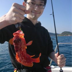 マタウマリンサービス 釣果