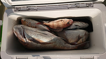 松本釣船2 釣果