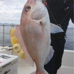 マタウマリンサービス 釣果