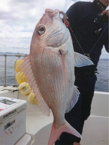 マタウマリンサービス 釣果