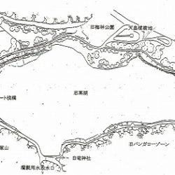 志高湖フィッシング 釣果