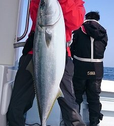 海龍丸（福岡） 釣果