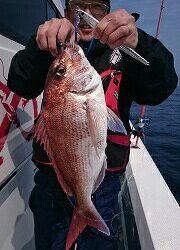 海龍丸（福岡） 釣果