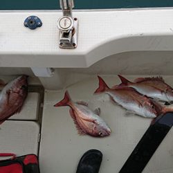 松本釣船2 釣果