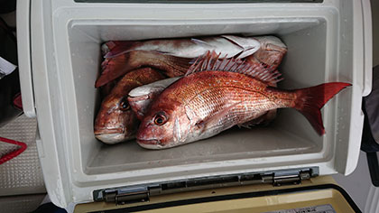松本釣船2 釣果