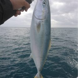 マタウマリンサービス 釣果