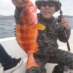 マタウマリンサービス 釣果