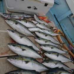 旭星釣りセンター 釣果