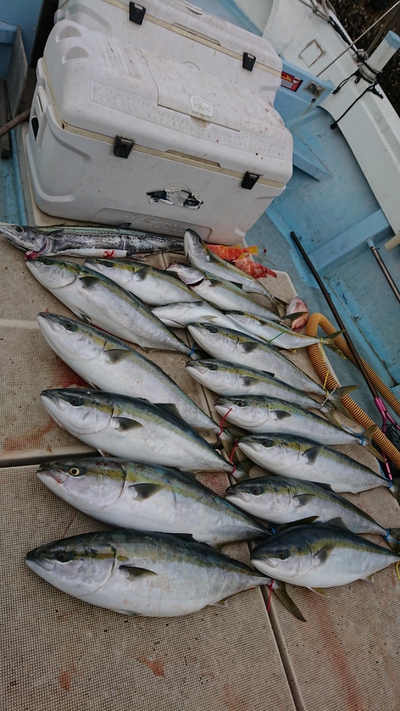 旭星釣りセンター 釣果