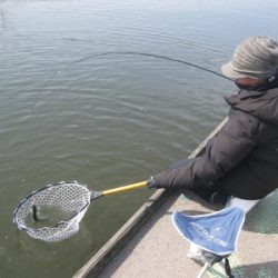 吉羽園 釣果