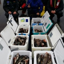 オーフリー 釣果