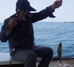 本部釣りイカダ 釣果