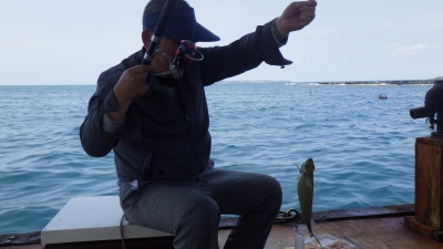 本部釣りイカダ 釣果