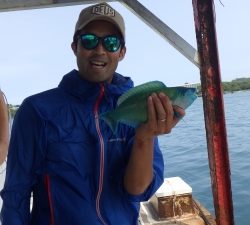 本部釣りイカダ 釣果