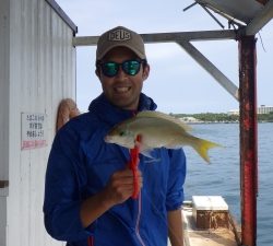 本部釣りイカダ 釣果