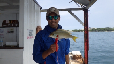 本部釣りイカダ 釣果
