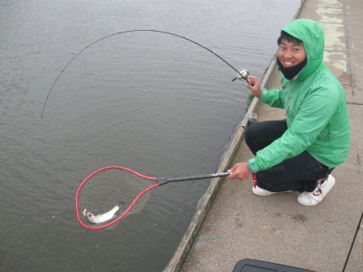吉羽園 釣果