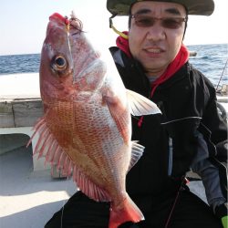 マタウマリンサービス 釣果