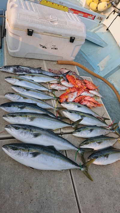 旭星釣りセンター 釣果