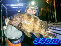 オーシャンマスター 釣果