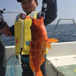 マタウマリンサービス 釣果