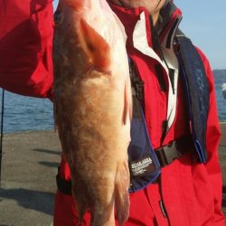 オーフリー 釣果