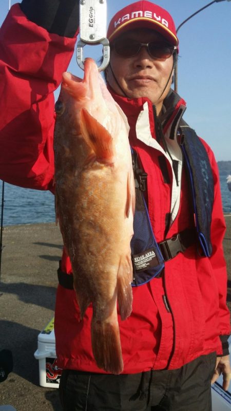 オーフリー 釣果