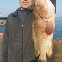 オーフリー 釣果