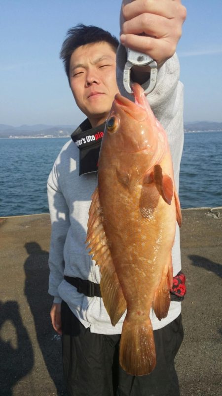 オーフリー 釣果