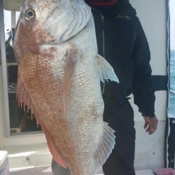 オーフリー 釣果