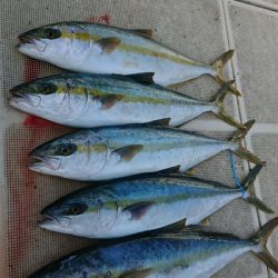 旭星釣りセンター 釣果