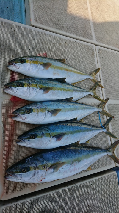 旭星釣りセンター 釣果
