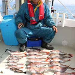 松本釣船2 釣果