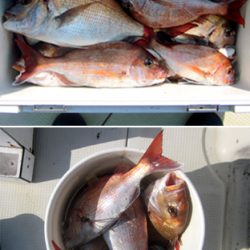 来温丸(らいおんまる) 釣果