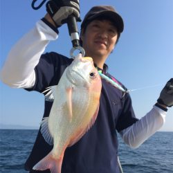 マタウマリンサービス 釣果