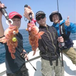 マタウマリンサービス 釣果