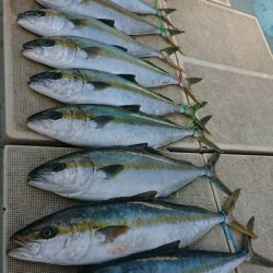 旭星釣りセンター 釣果